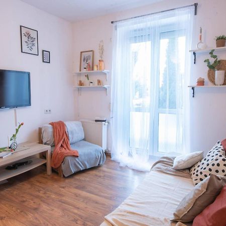 Home Studio Z Ogrodkiem Krakow Ngoại thất bức ảnh